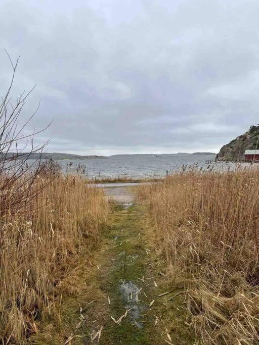 Ny Laegenhet Pa Markplan Med Havsutsikt Strömstad エクステリア 写真